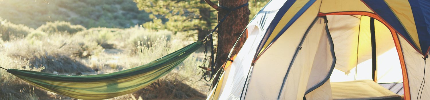 Photo of Tent and Hammock